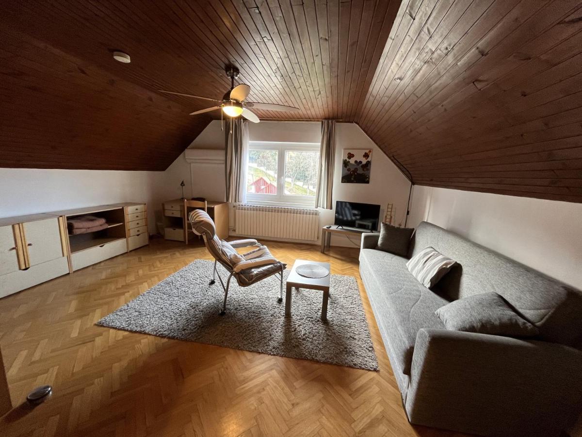 Cozzy Apartment In Nature Zagreb Buitenkant foto